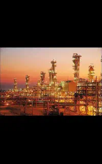 جویای کار در شرکت