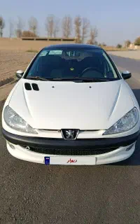 206سقف پانوراما