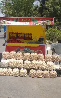 چرخ میوه فروشی یا جیگرکی صحیح و سالم