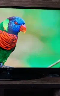 سامسونگ samsung40اینچ