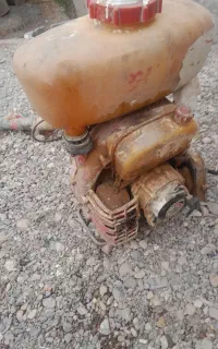 گودپاش