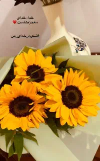 راهنمایی