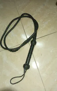 شلاق اسب سواری