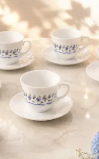 فنجان نعلبکی