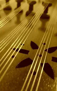 آموزش تخصصی سنتور در منزل