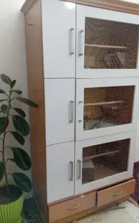 قفس