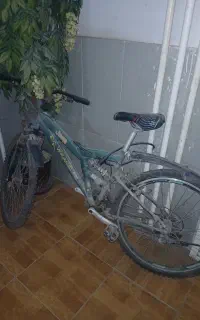 دوچرخه جیپ اصلی