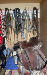 لوازم سوارکاری