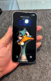 iphone 13 256 zaa شرکتی