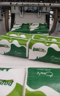 دستمال کاغذی پاپیون و ریحانه
