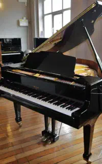 اموزش صد در صد تضمینی موسیقی در منزل کارشناس خانم