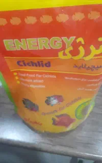 غذای ماهی