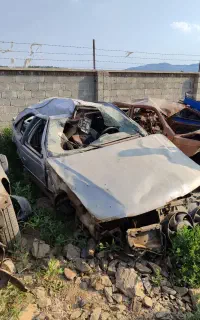 پارس چپی
