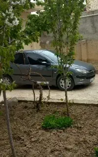 ۲۰۶ تیپ ۳ مدل ۸۷