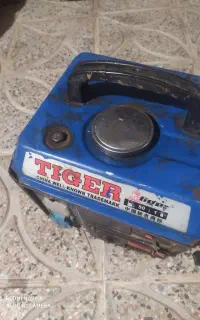 موتور برق تایگر 1200دو زمانه