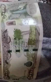 دینارکلکسیونی