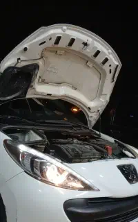 اجاره ۲۰۷ پانا