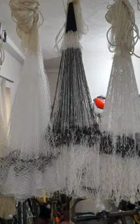 تور ماهیگیری