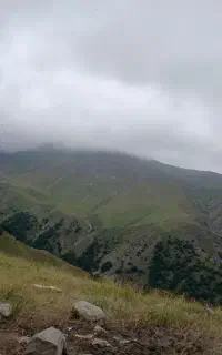 تور و گردشگردی