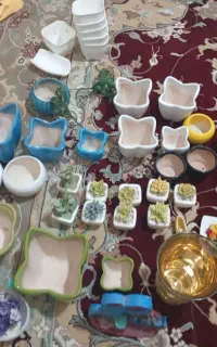 گل و گلدون
