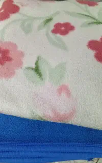 پتودونفره