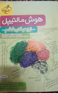 کتاب هوش مالتیپل ششم به هفتم