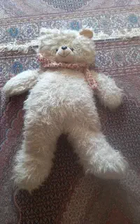 خرس سفید خوشگل