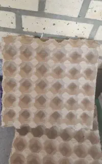 تولیدی شانه تخم مرغ