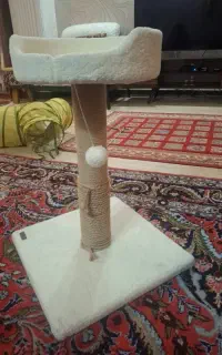 اسکراچر گربه