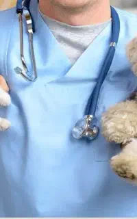 خدمات دامپزشکی در محل توسط دکتر دامپزشک با تجربه