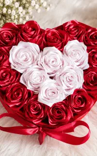 باکس گل ،شیک و زیبا ،19شاخه