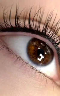 آرایش دائم