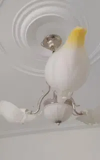 دو عدد لوستر، سه شاخه و پنج شاخه