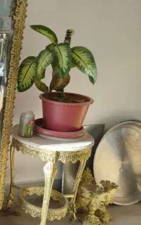 میز خاطره به دلیل کمبود جا فروخته میشود