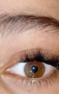 کار مژه