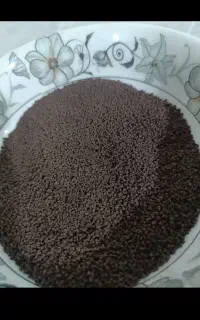 چای کله مورچه