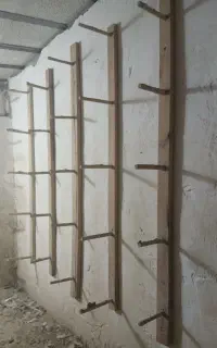 چوب بند کفتر حدود ۲۵ تا دانه ۳۰۰