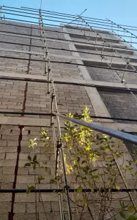 داربست فلزی پایتخت