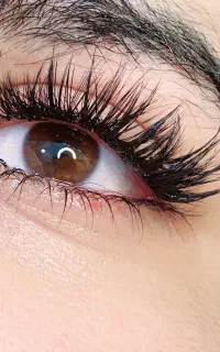 تخفیف آموزش لیفت ابرو و مژه و کاشت هیدن