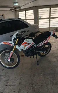 تریل رادیسون مدل ۹۱