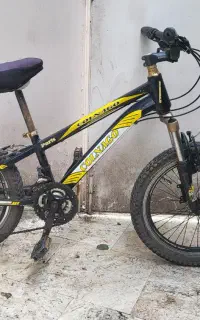 دوچرخه ۲۴ Colnago