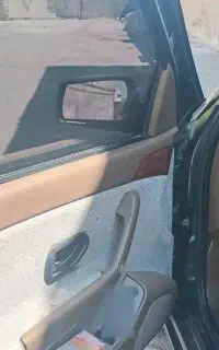سمندمشکی خونگی ۸۱