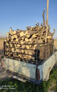 خرید و برش چوب مرکبات و بید