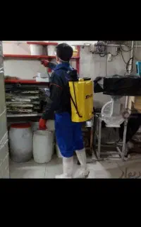 سمپاشی حشرات سوسک ساس مورچه بیدبا کیفیت صد٪ تضمینی