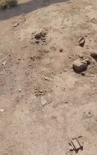 خواستار زمین‌کشاورزی ‌یا‌مسکونی‌برا‌خرید
