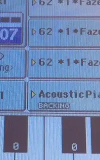 فرمت ارگ pa800