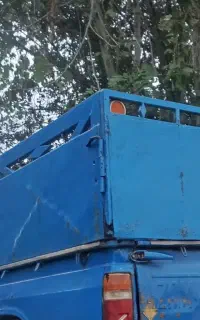 اتاق بالای نیسان