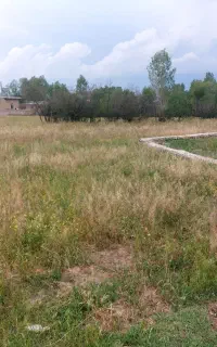 زمین برای فروش پریخان