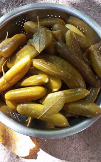 خیارشور