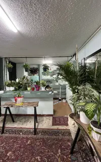 فروش کافه